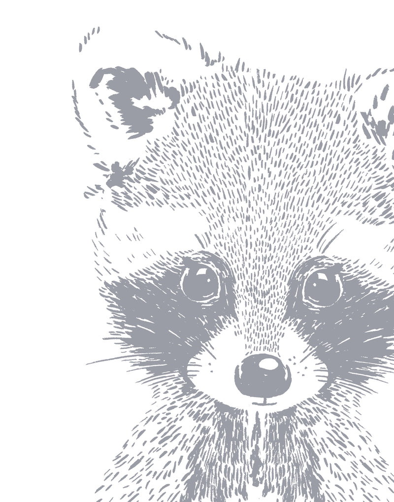 Liberty Raccoon Nursery Art
